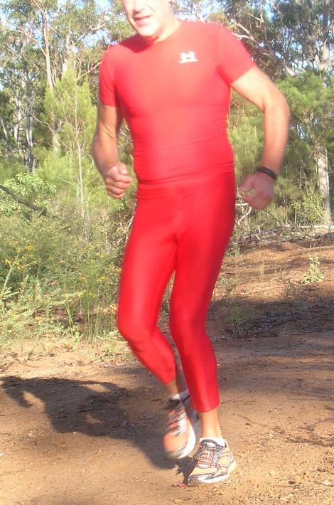 insport running tights